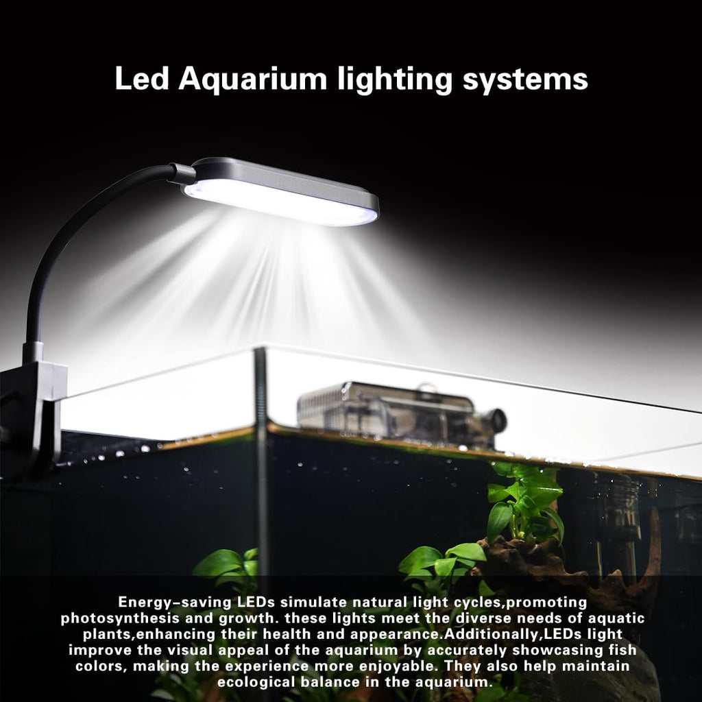 2.8 Gallon Glass Fish Tank with Light and Filter T9933