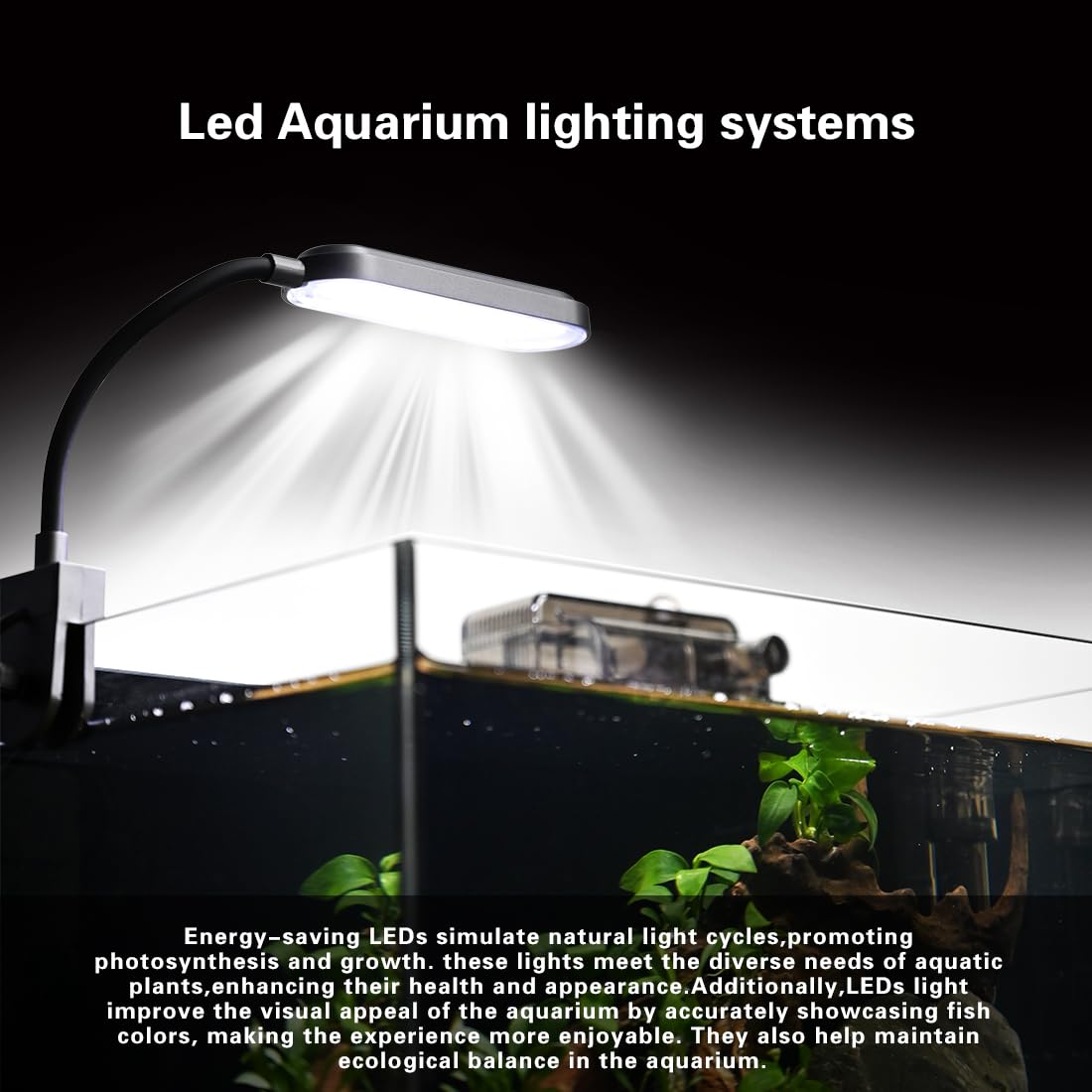 2.8 Gallon Glass Fish Tank with Light and Filter T9933