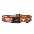 Large Collar and Leash Y41469