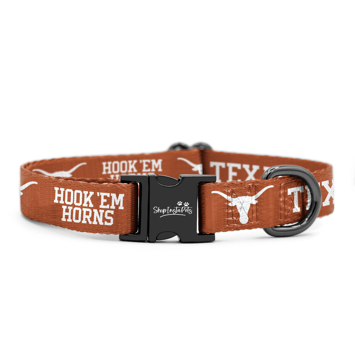 Large Collar and Leash Y41469