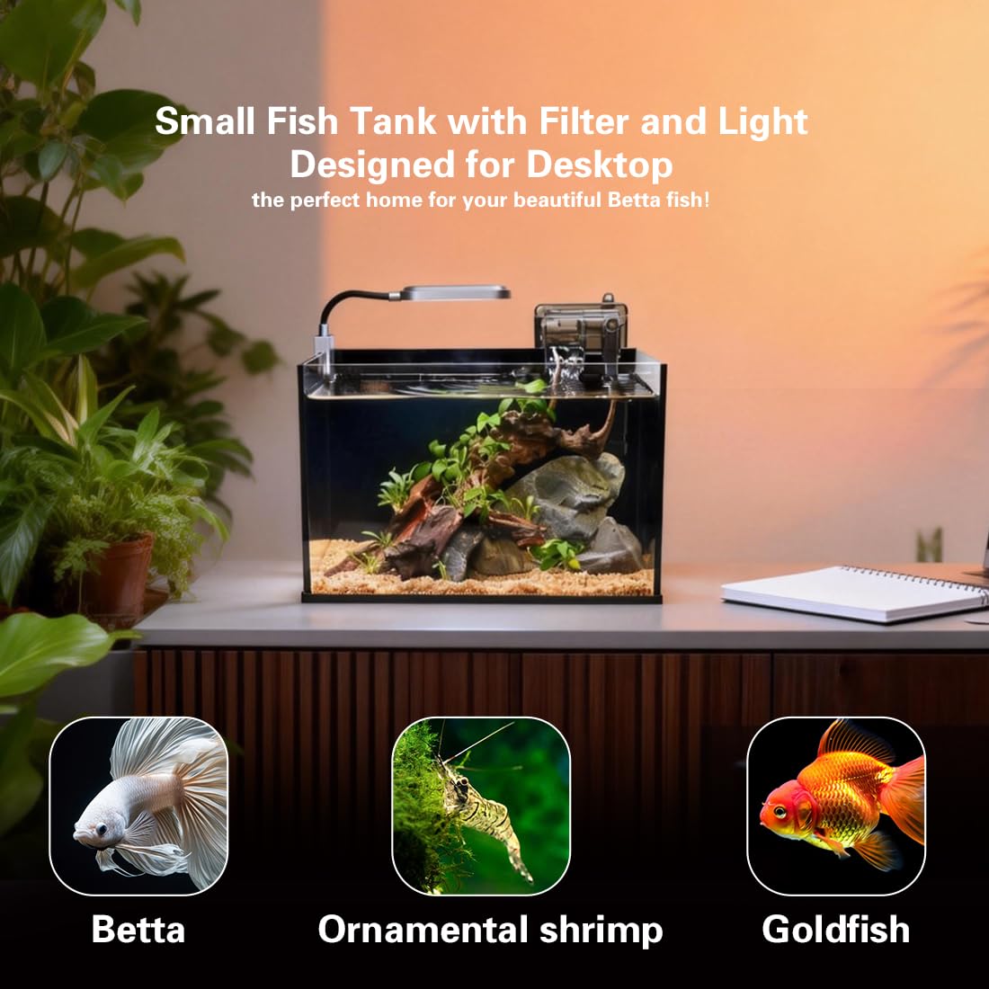 2.8 Gallon Glass Fish Tank with Light and Filter T9933