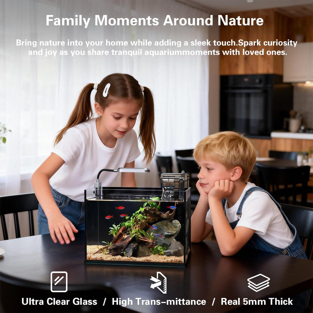 2.8 Gallon Glass Fish Tank with Light and Filter T9933