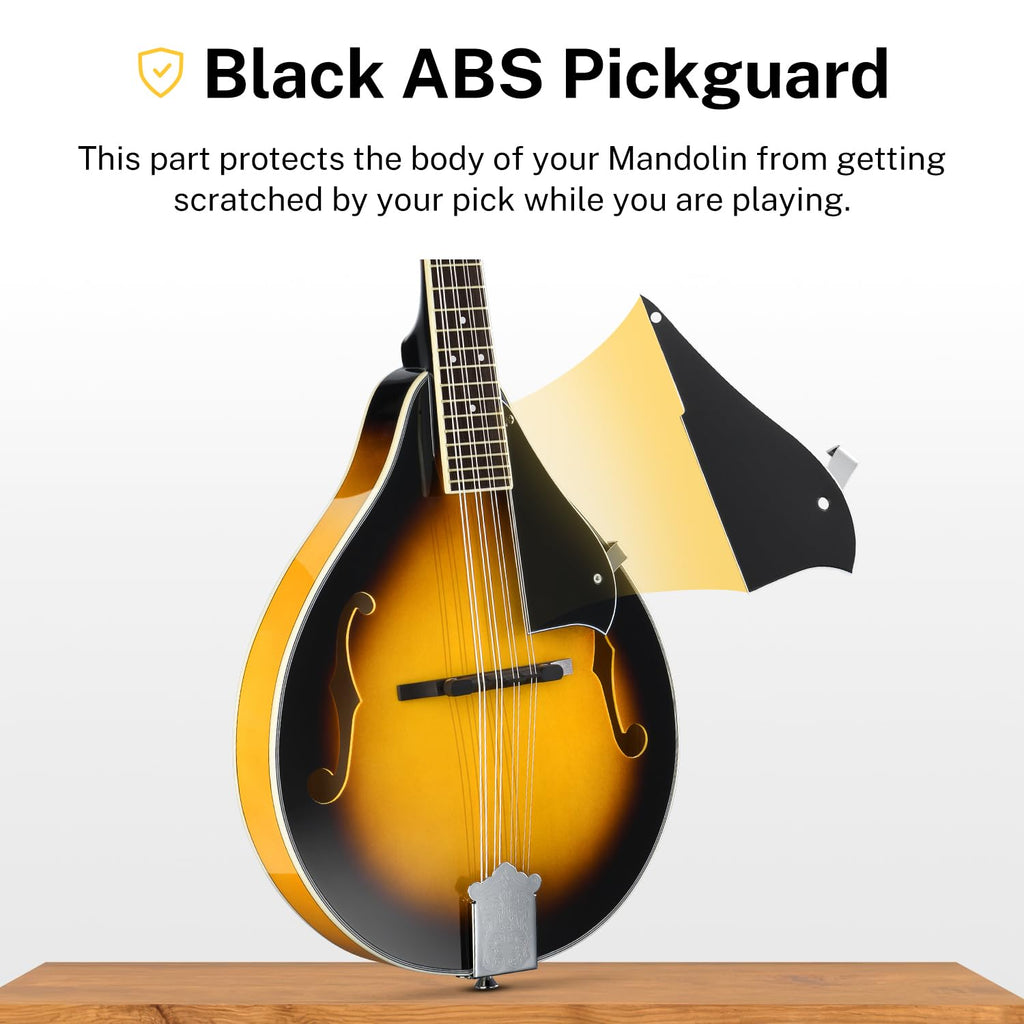 Sunburst Mahogany 8 String Acoustic Mandolin W684