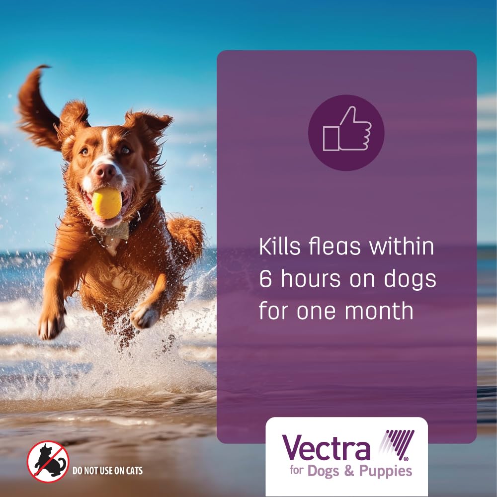 Flea Treatment & Prevention for Extra Small Dogs 3-Month Supply D904