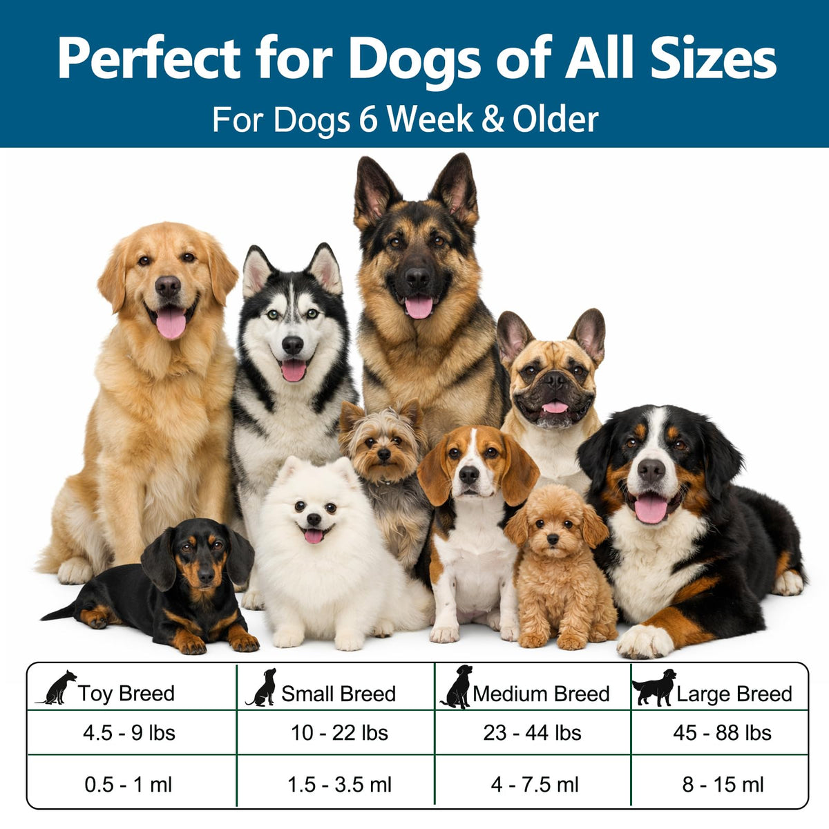 Broad Spectrum Dog Dewormer O161287