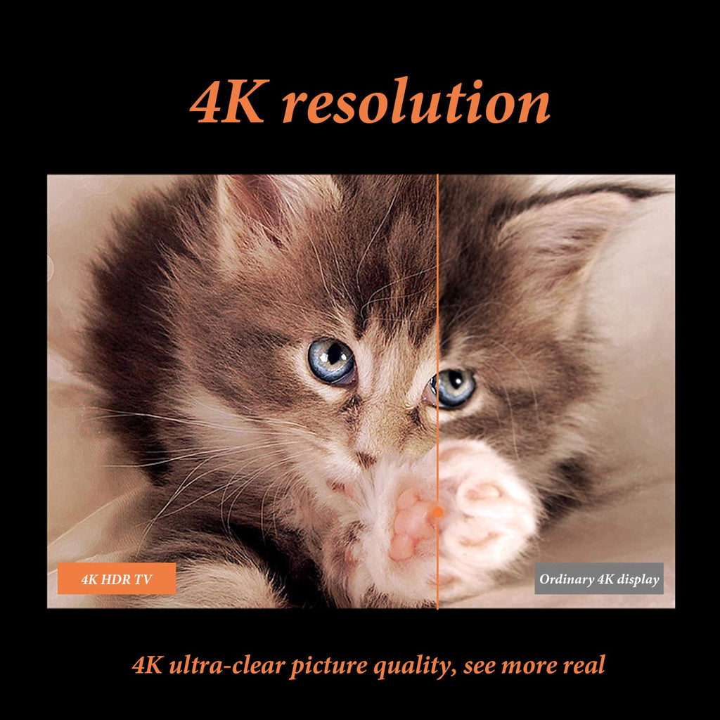 55 inch 4K Smart LED TV R156280