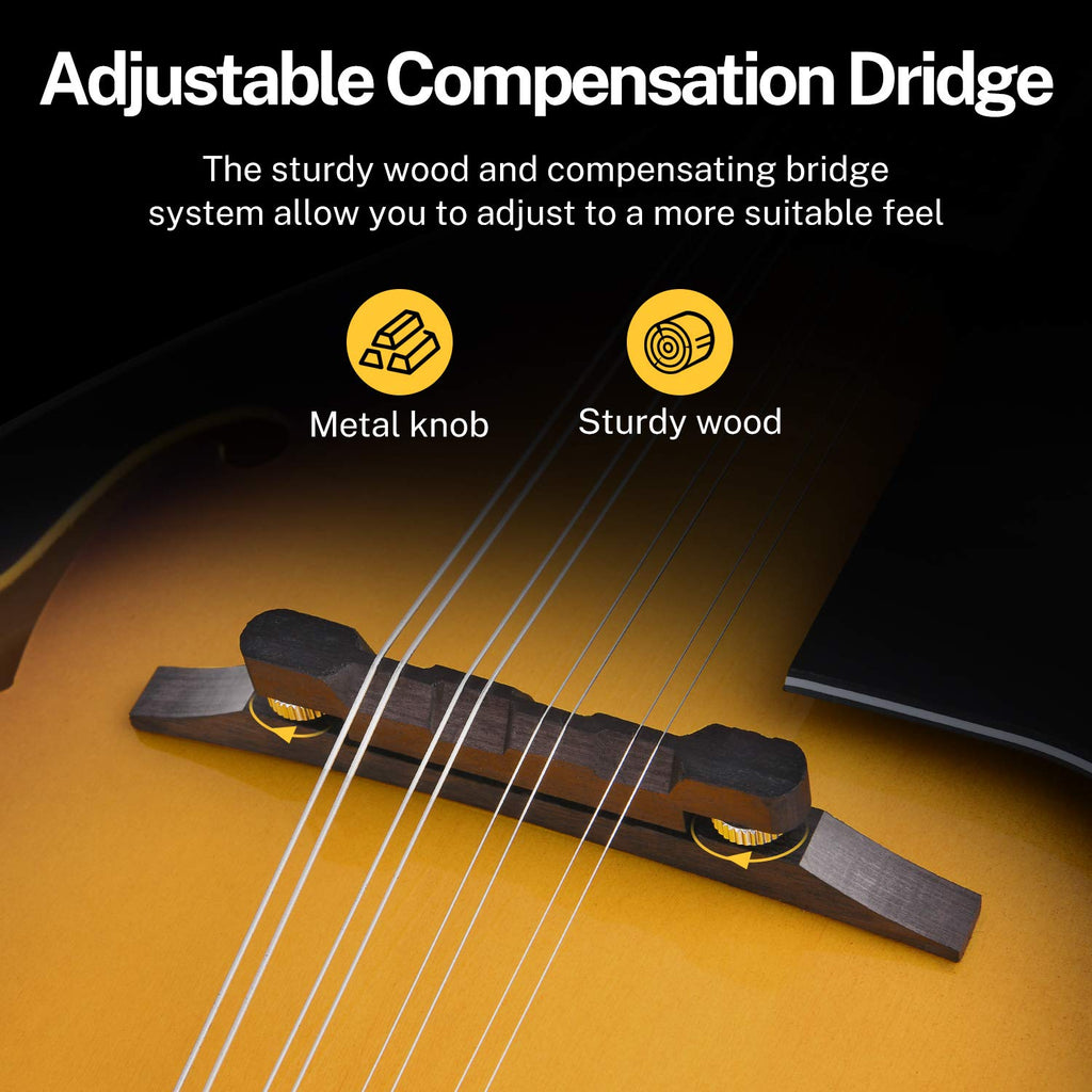 Sunburst Mahogany 8 String Acoustic Mandolin W684