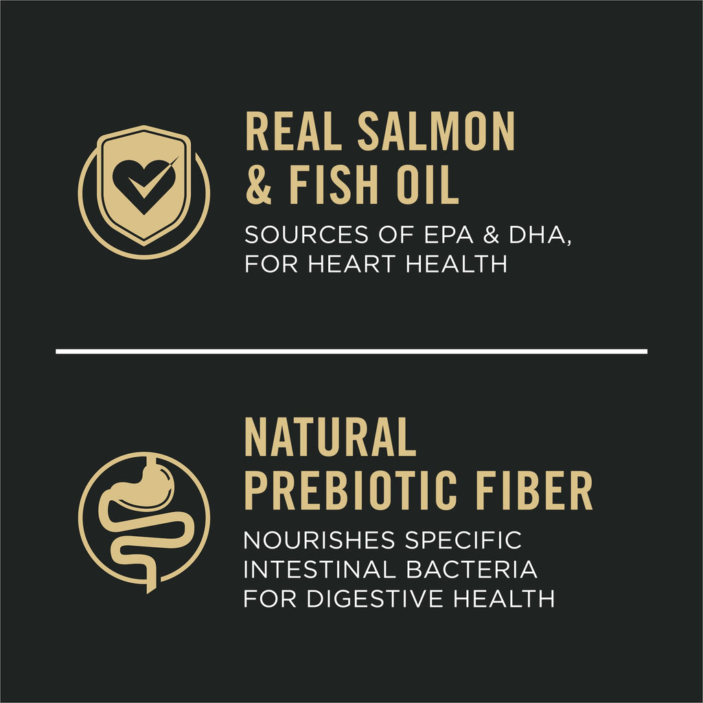 Salmon & Rice Dry Dog Food 40 lb. Bag U631923