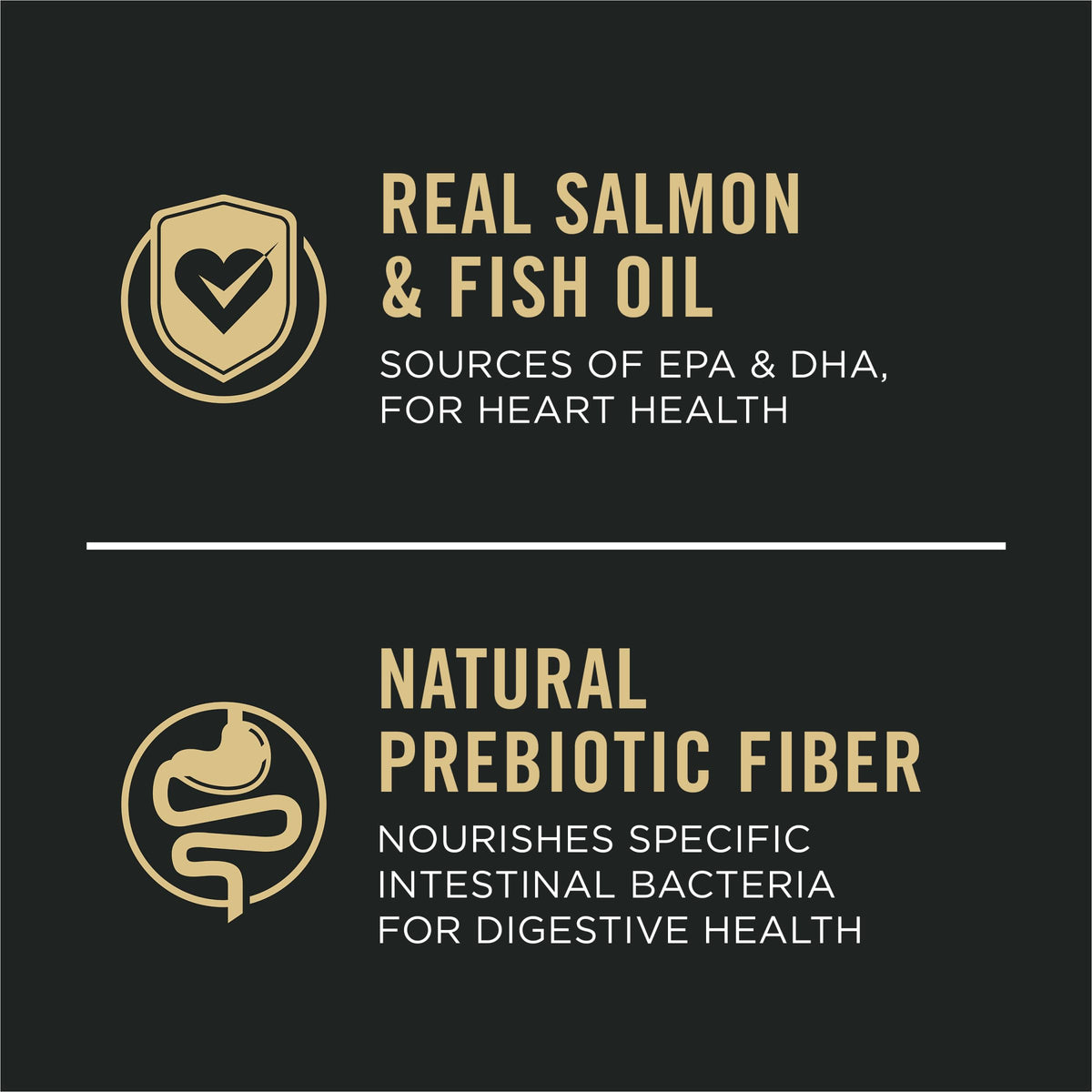 Salmon & Rice Dry Dog Food 40 lb. Bag U631923