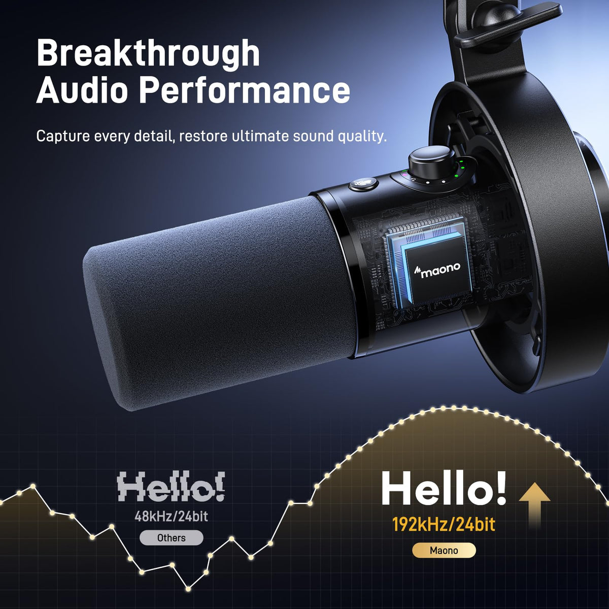 Dynamic Microphone and XLR Cable C546068