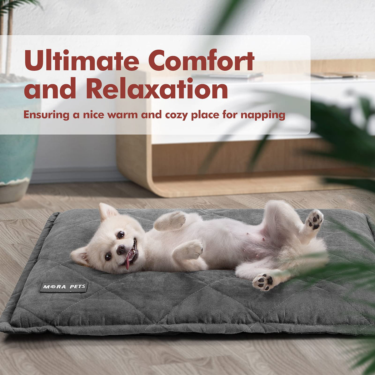 Self Heating Cat Bed 24 x 18 Inches K750245