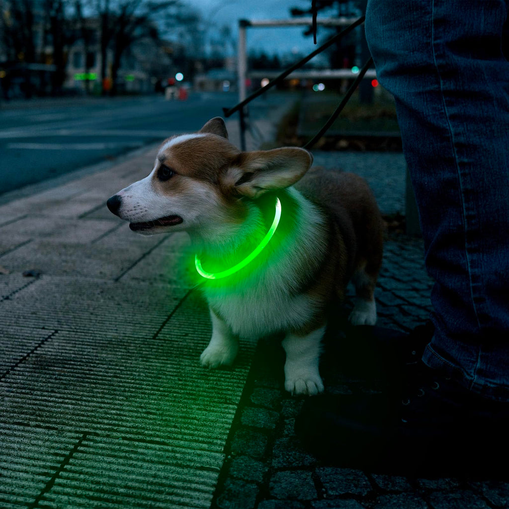 LED Dog Collar USB Rechargeable Green K604258