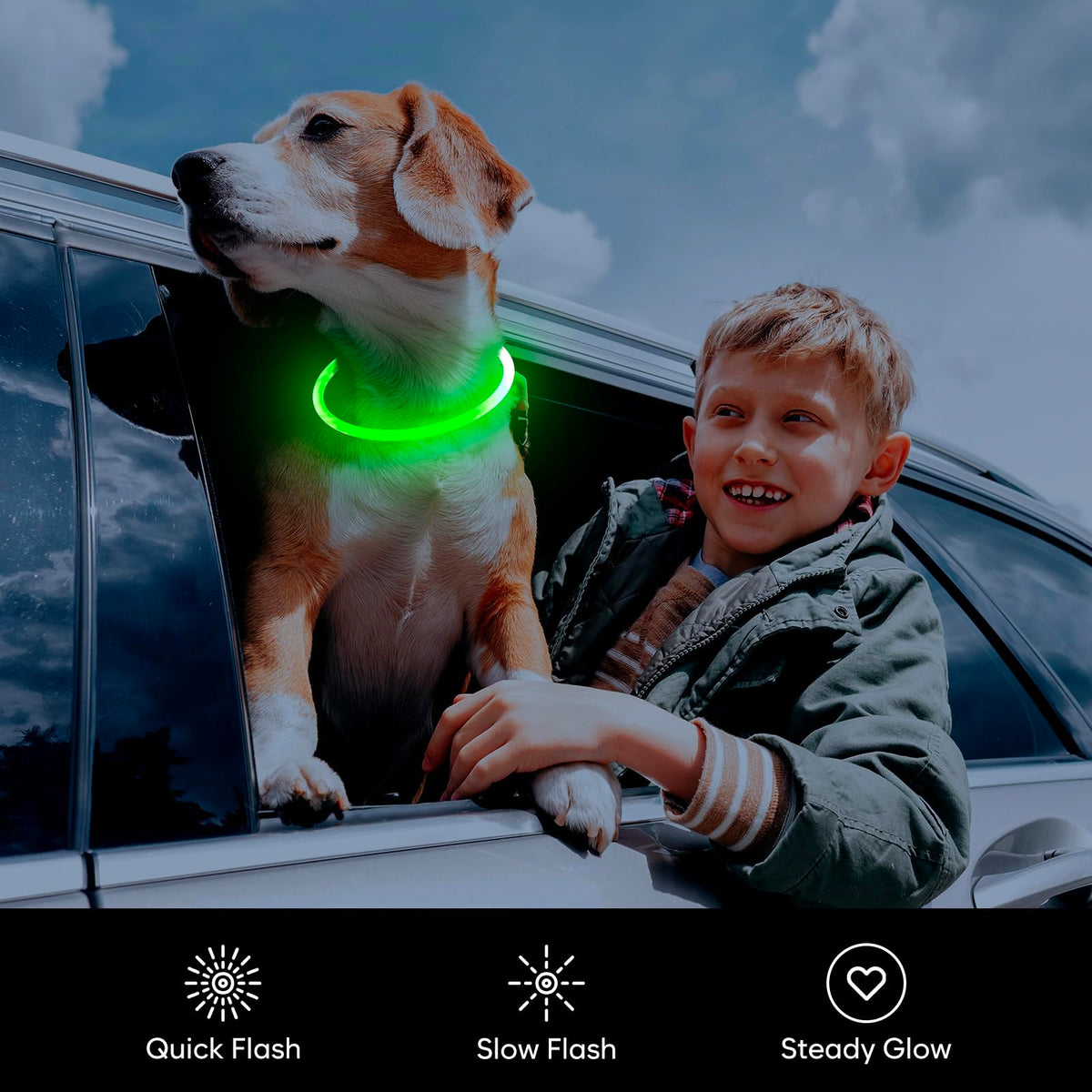 LED Dog Collar USB Rechargeable Green K604258