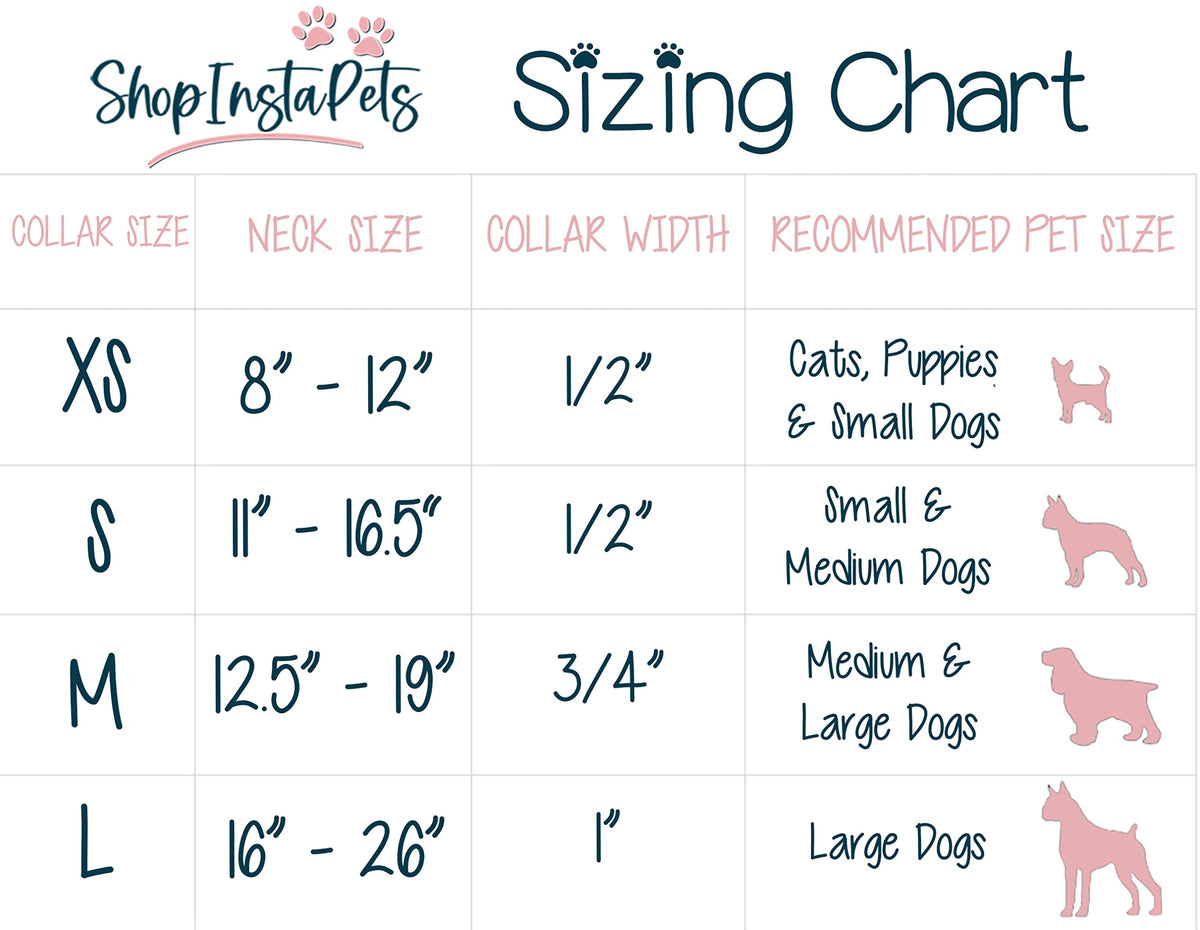 Large Collar and Leash Y41469