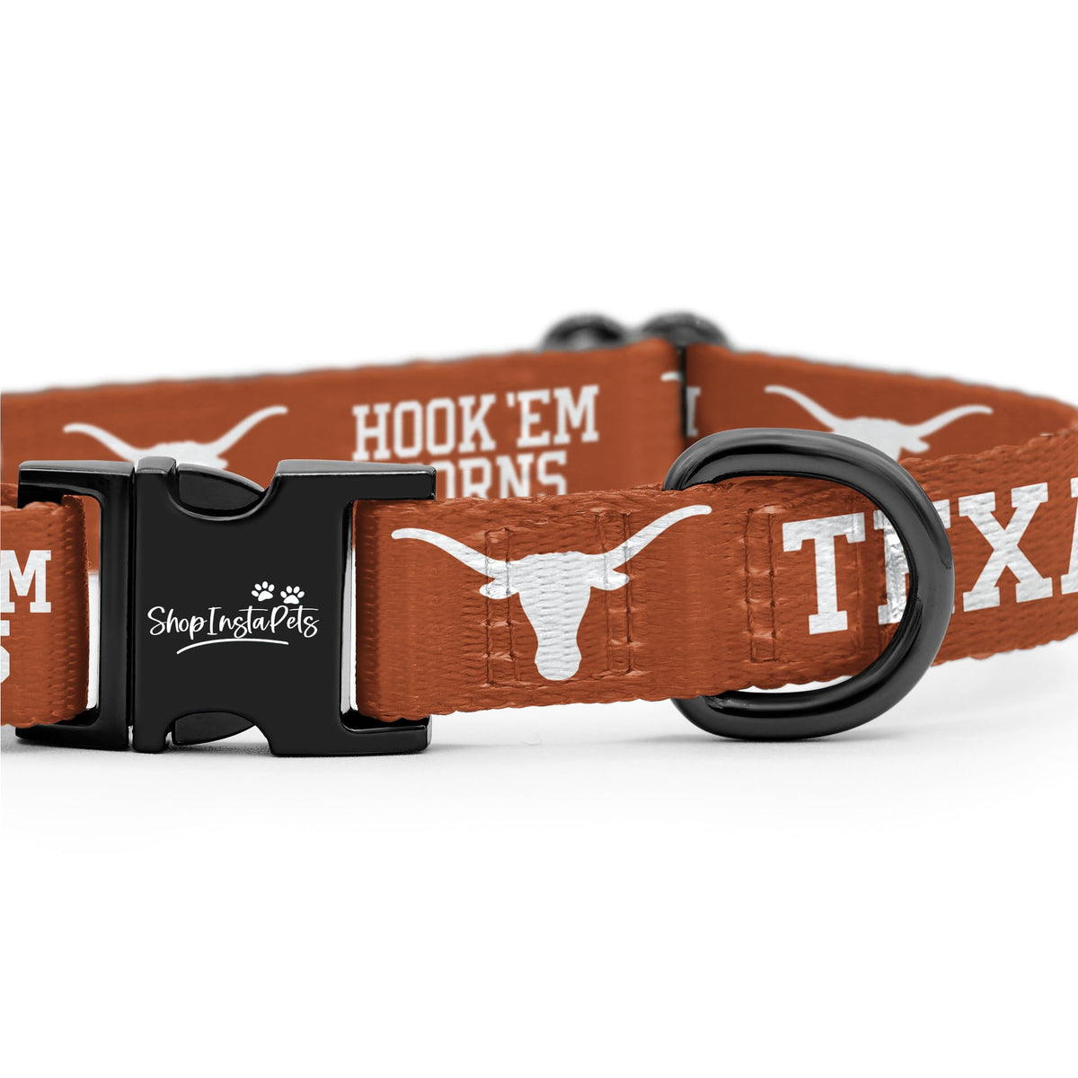 Large Collar and Leash Y41469