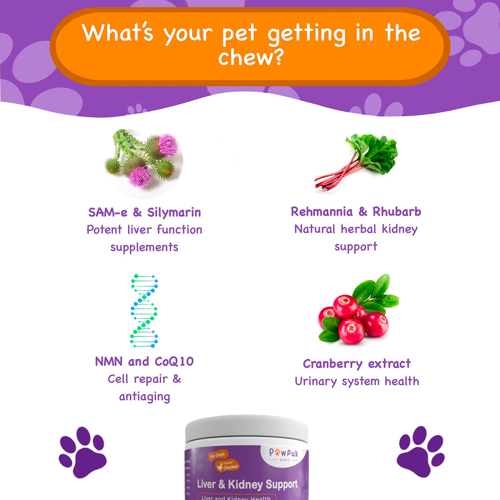 Liver & Kidney Vitamins Supplements for Dogs W1594