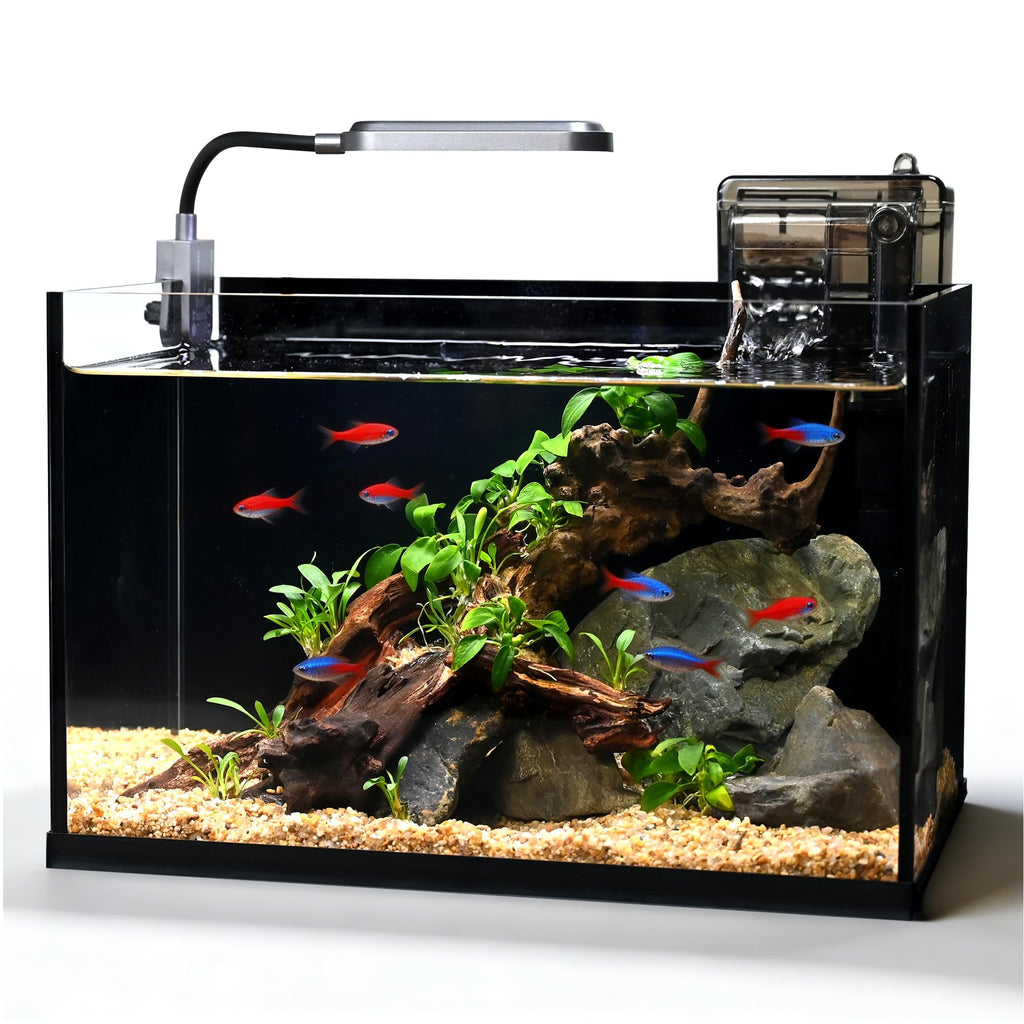 2.8 Gallon Glass Fish Tank with Light and Filter T9933