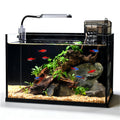 2.8 Gallon Glass Fish Tank with Light and Filter T9933