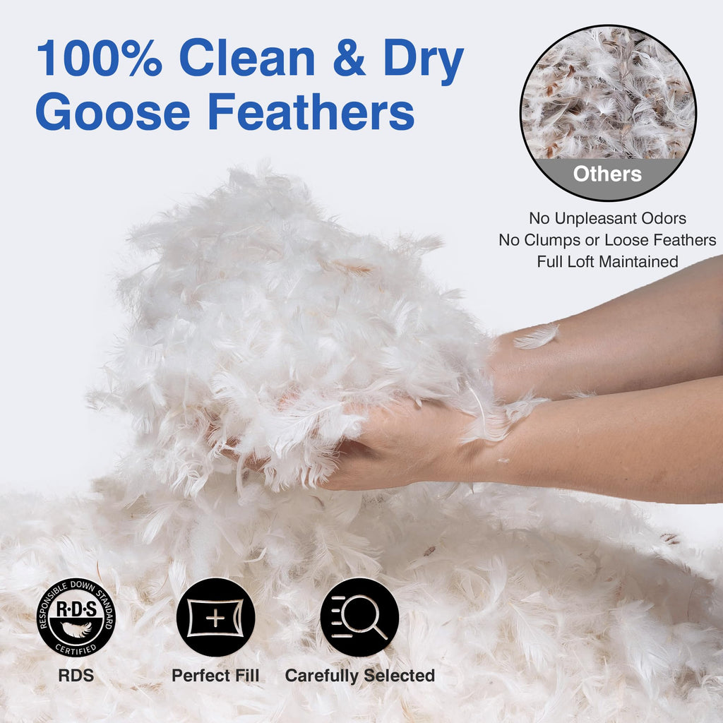 Queen Size Set of 2 Feather Pillows H523682