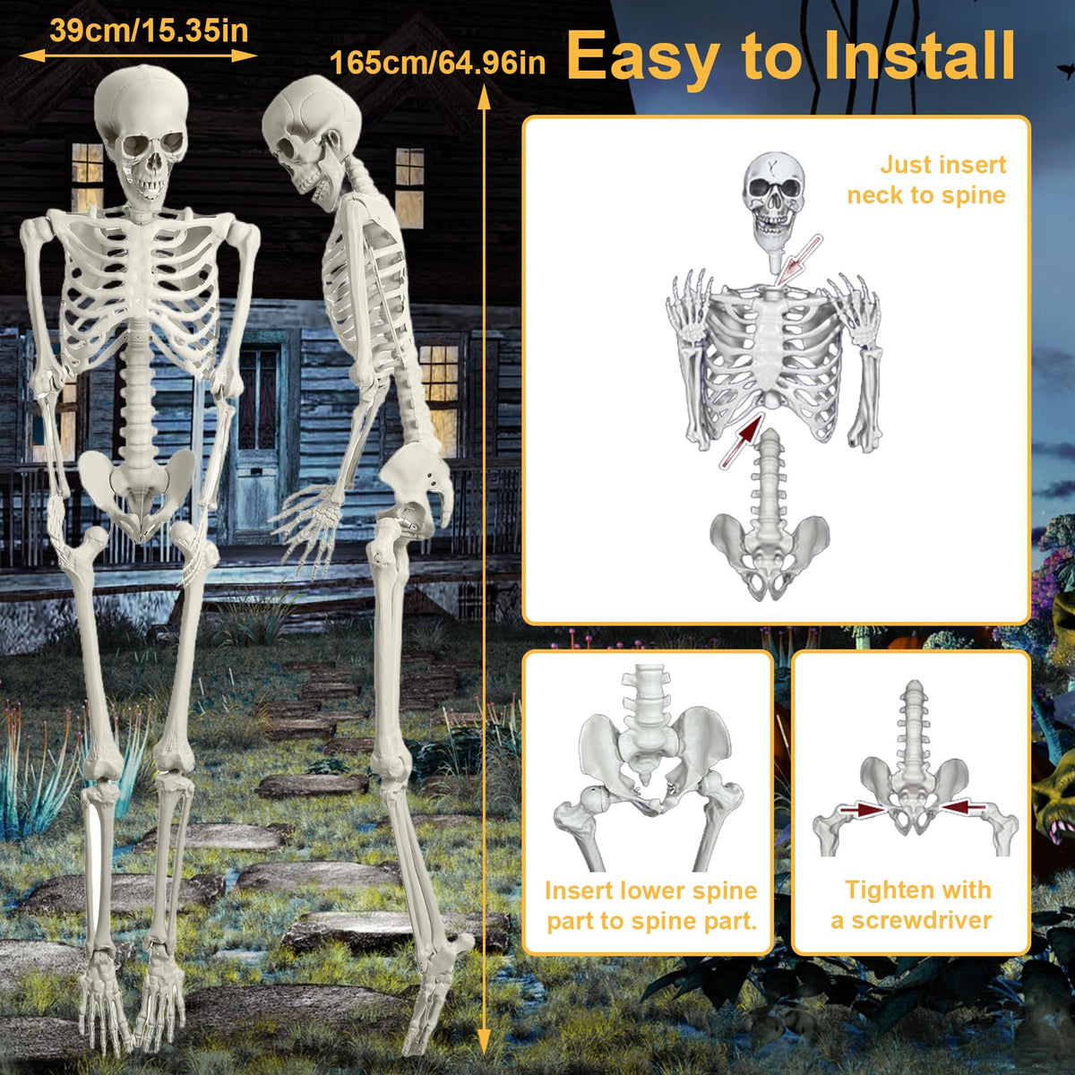 Posable Life Size Skeleton with Movable Joints E9806