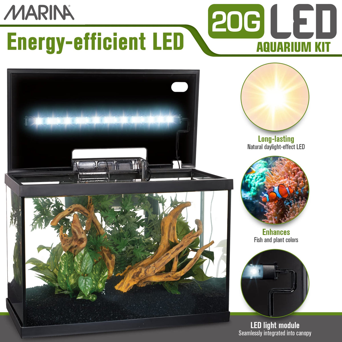 20 Gallon LED Aquarium Kit with Filter E23263