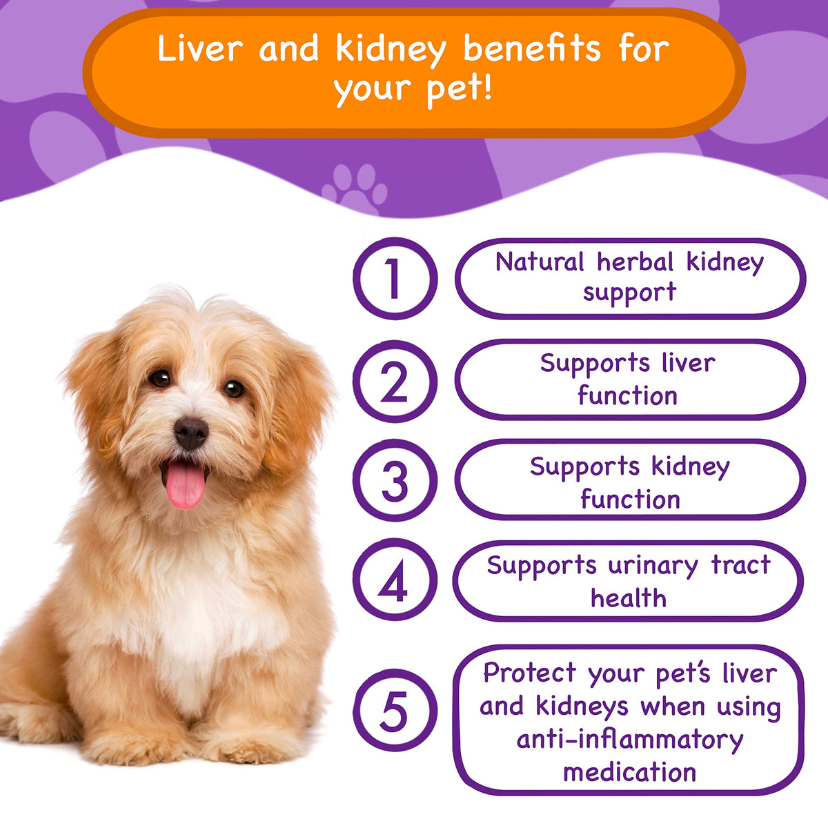 Liver & Kidney Vitamins Supplements for Dogs W1594