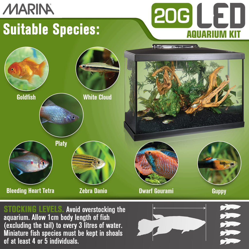 20 Gallon LED Aquarium Kit with Filter E23263