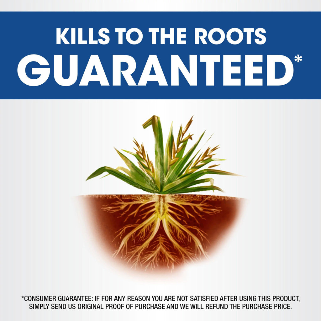 Roundup Weed & Grass Killer₄ with Sure Shot Wand, 1 gal. L600