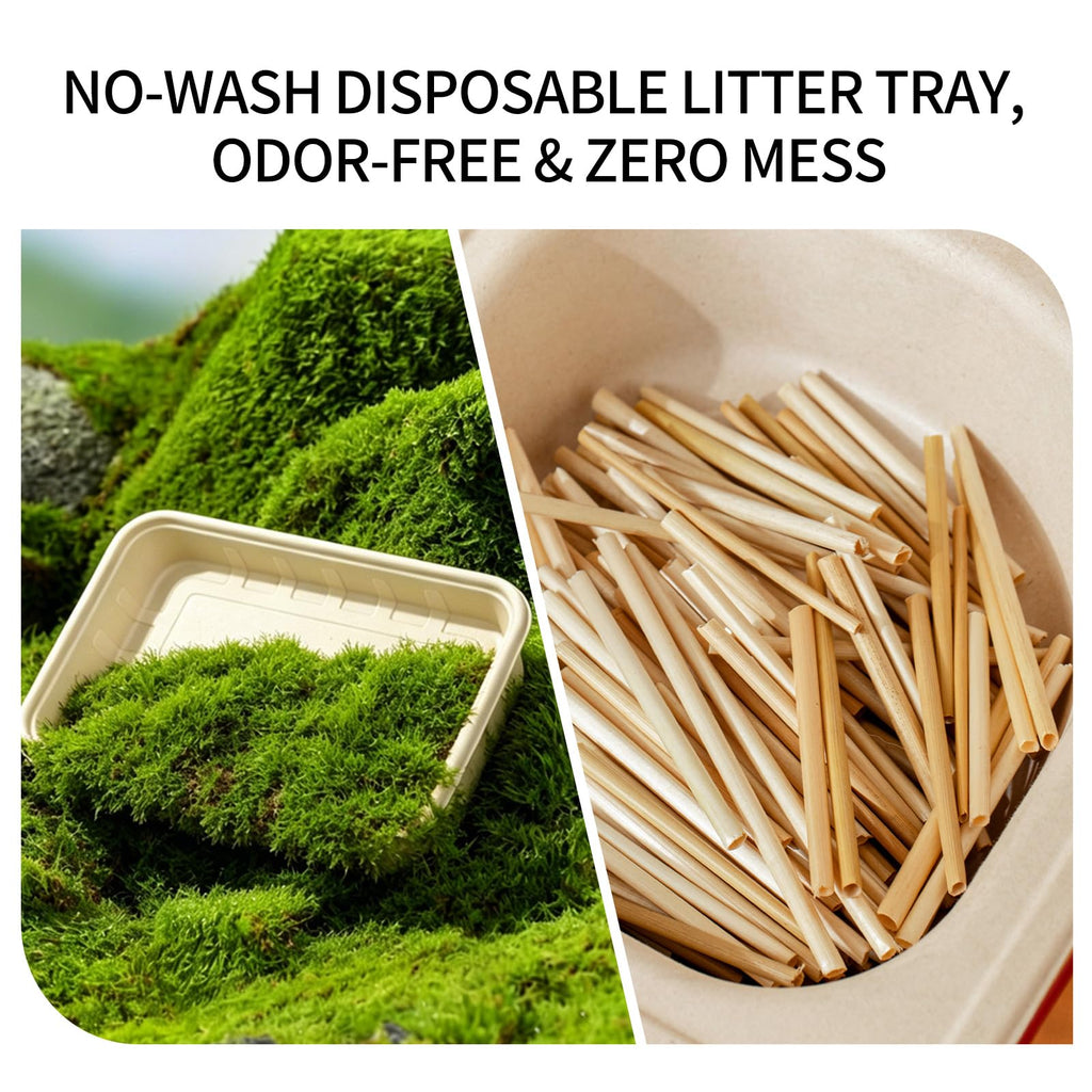 1+5 Pack Disposable Litter Boxes for Cats Z46744
