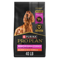 Salmon & Rice Dry Dog Food 40 lb. Bag U631923