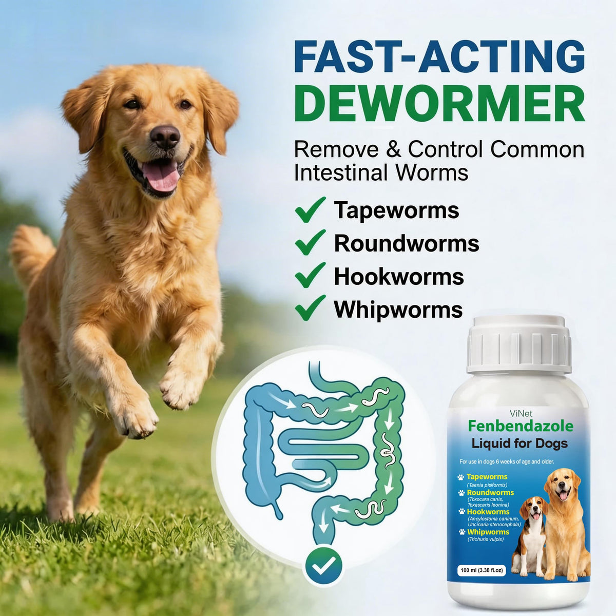 Broad Spectrum Dog Dewormer O161287