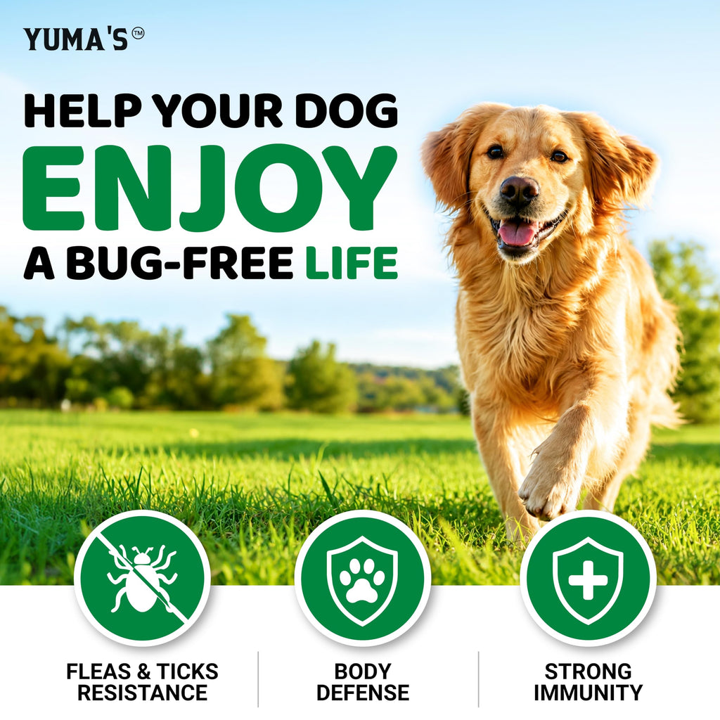 Natural Oral Flea and Tick Prevention for Dogs, 170 Chews I958