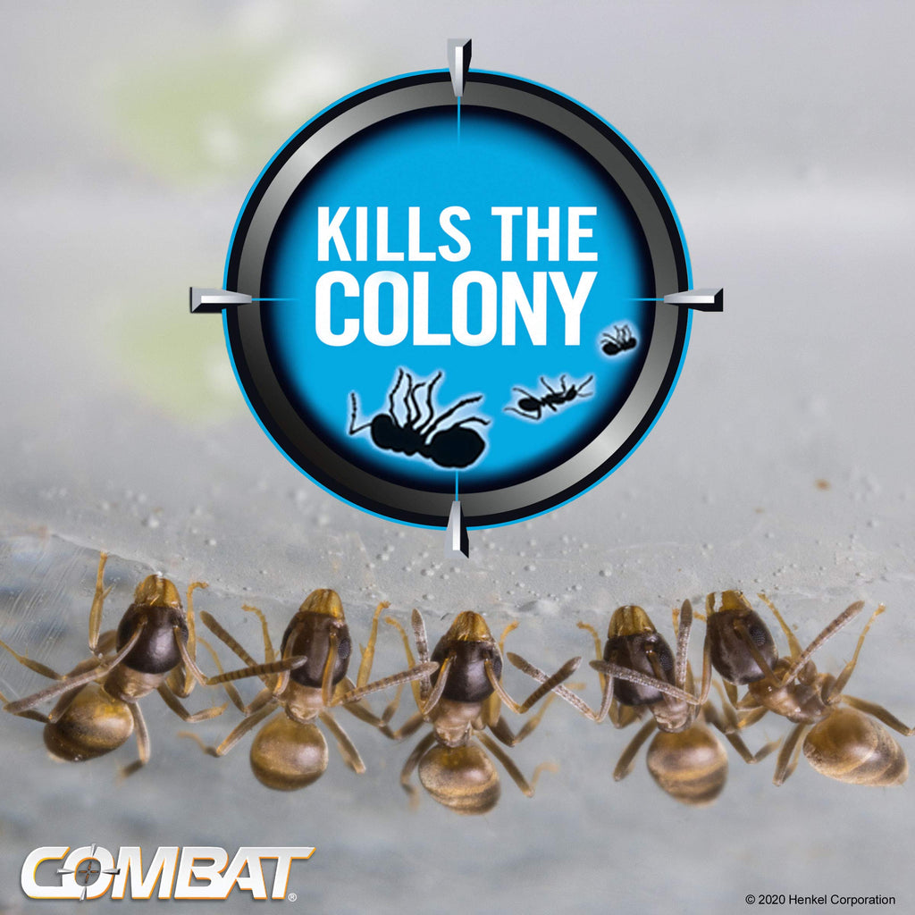 Ant Killing Gel Bait Station 4 Count X708