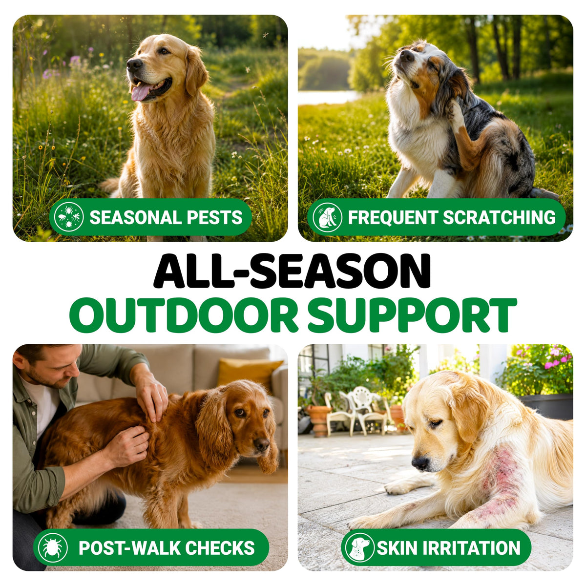 Natural Oral Flea and Tick Prevention for Dogs, 170 Chews I958