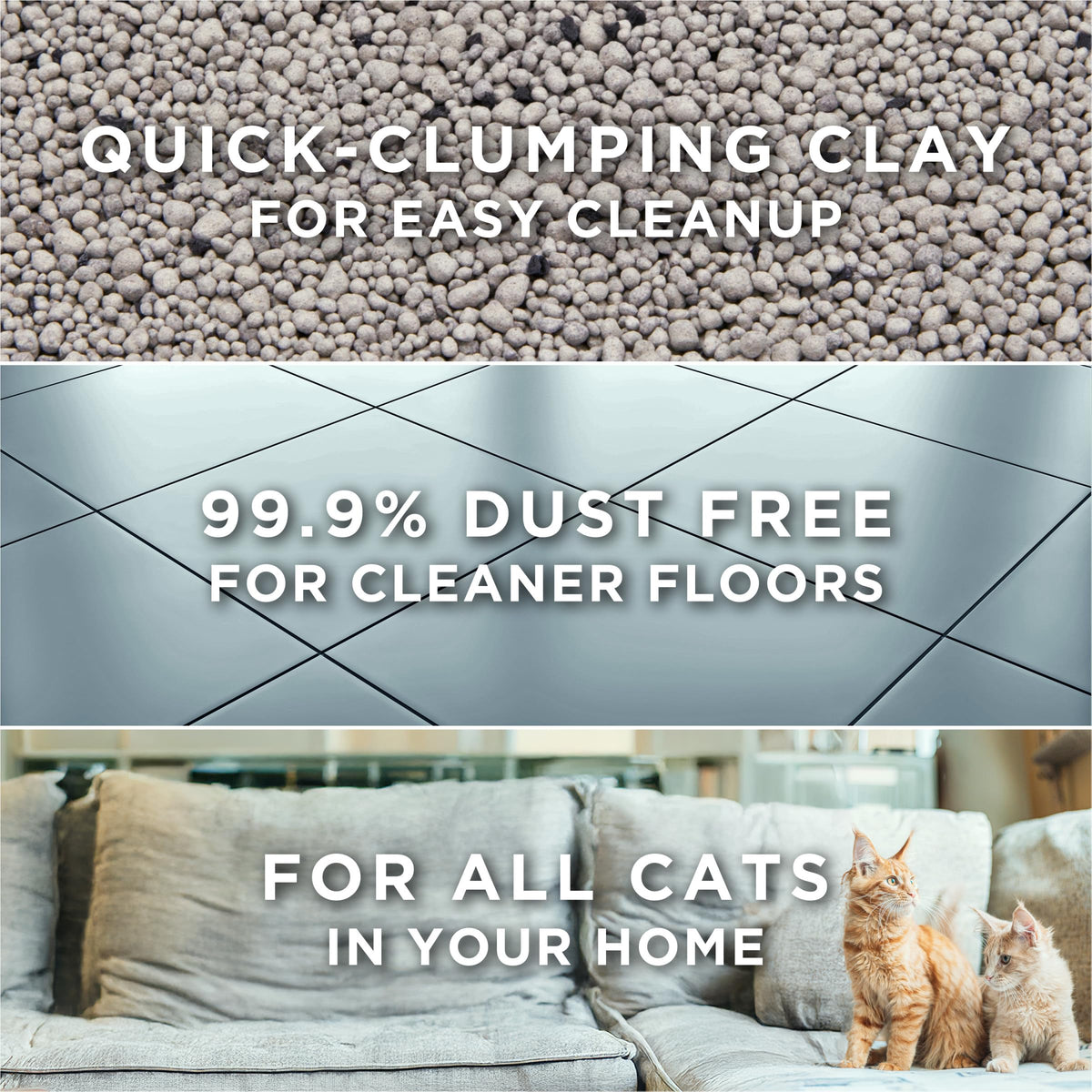 Unscented Clumping Cat Litter P863753