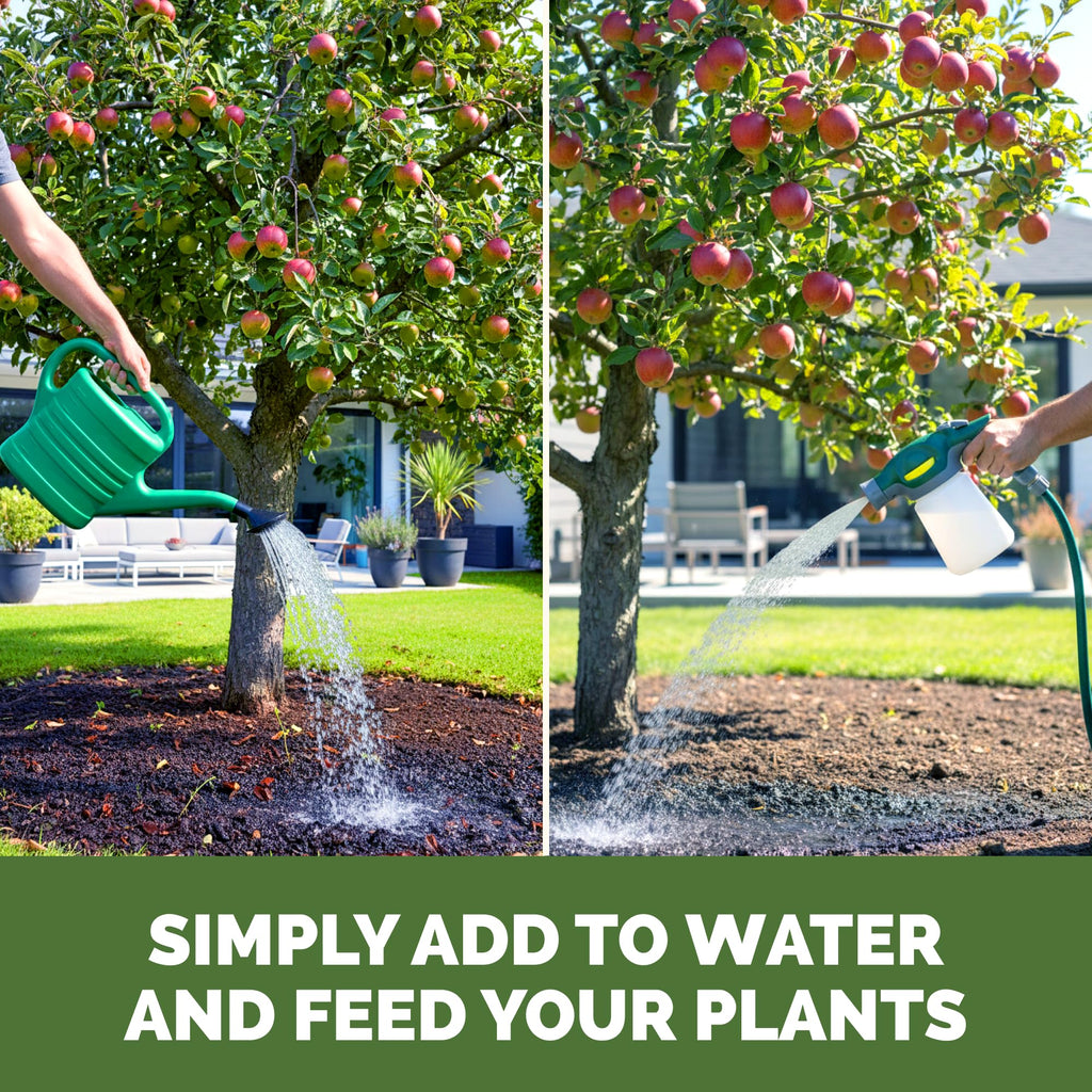 Liquid Plant Food 1 Gallon I974